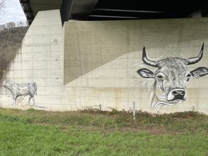 "Cela fait plus d'un an que j'ai posté son premier graff sur les réseaux sociaux" : un graffeur anonyme fait son sensation dans cette commune de l'Aveyron, le maire lui lance un appel