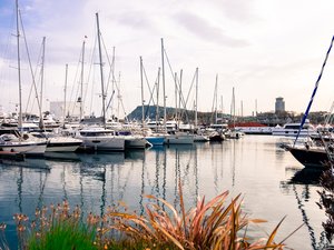 Disparition inquiétante : un plaisancier qui n'a jamais quitté le port introuvable depuis une semaine, ses effets personnels retrouvés à bord de son voilier