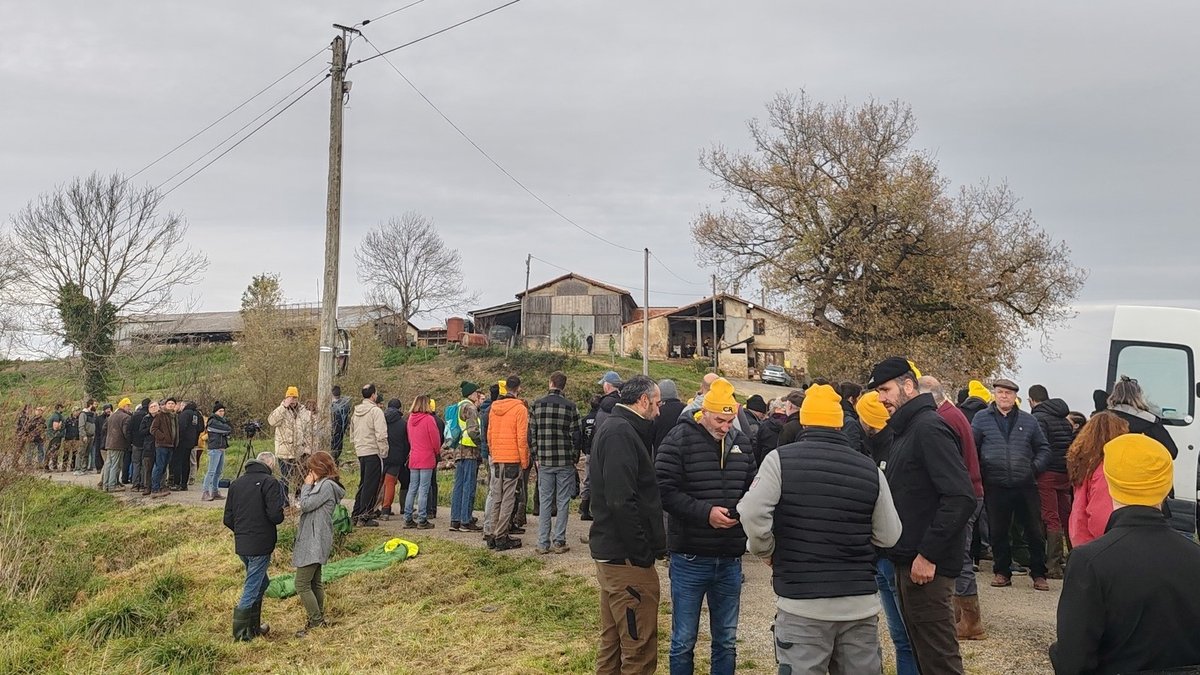 Dermatose nodulaire : une quarantaine d'Aveyronnais en renfort du blocage en Ariège où plus de 200 vaches doivent être euthanasiées - centrepresseaveyron.fr