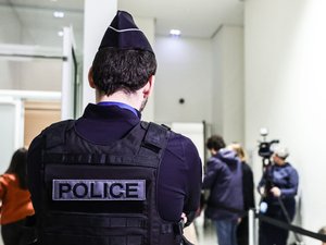 Poupées sexuelles vendues en ligne : près de Toulouse, Nice, Mulhouse, certains déjà connus de la justice, ce que l'on sait de la vague d'interpellation en France