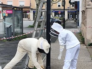 "Eviter le surdosage" : en Aveyron, vers des traitements plus naturels contre les nuisibles