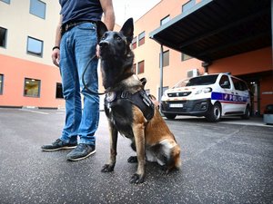 Opération de police contre le trafic de stupéfiants en Aveyron : deux appartements perquisitionnés et du cannabis saisi