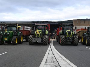 "Ils n'abattront pas mon troupeau" : la colère se durcit chez les agriculteurs, l'A75 toujours bloquée partiellement