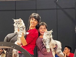 VIDÉO. "C'est juste incroyable" : trois gros matous de l'Aveyron en lice pour être élus plus beau chat de France !