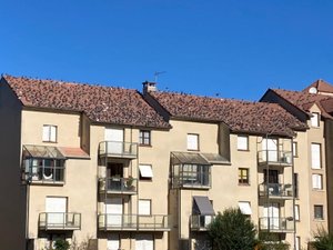 "La pollution qu'ils laissent sur nos terrasses est spectaculaire" : face à une invasion de pigeons, les habitants créent d'une résidence de l'Aveyron se mobilisent