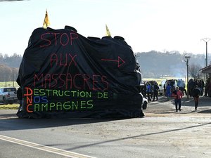 Dix départements désormais touchés par la dermatose nodulaire : la ministre de l'Agriculture annonce la vaccination de près d'un million de bovins "dans les semaines qui viennent"