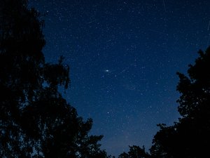 "Jusqu'à 150 météores par heure" : une pluie d'étoiles filantes dans le ciel cette nuit, quelle est la meilleure heure pour observer les Géminides ?