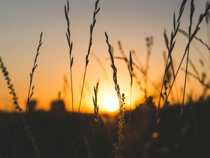 MÉTÉO. L'épisode de douceur continue cette semaine : va-t-il encore faire entre 15 et 20 °C jusqu'à Noël ?