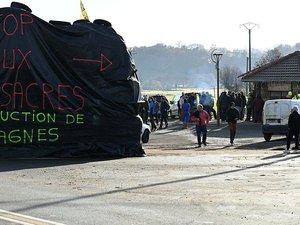 DIRECT. Dermatose nodulaire : la mobilisation des agriculteurs se poursuit ce lundi, suivez cette journée avec nous