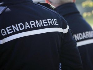Disparition inquiétante : un frère et sa soeur restent introuvables depuis six jours après avoir fugué à leur arrivée dans leur famille d'accueil