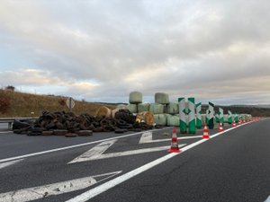 CARTE. Dermatose nodulaire contagieuse : A75, RN 88... Quelles sont les routes bloquées par les agriculteurs et les itinéraires à emprunter ce 19 décembre ?