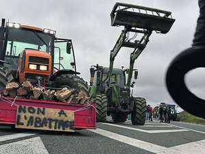 "En cas de mauvaise négociation, on va mettre encore plus de tracteurs sur les routes" : le président de la CR Occitanie Eloi Nespoulous reçu à Matignon ce vendredi matin
