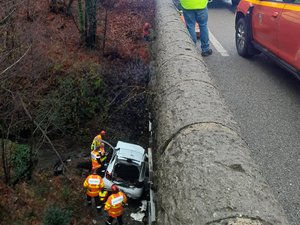 La voiture chute de plusieurs mètres après une sortie de route, une conductrice et son chien s'en sortent indemnes