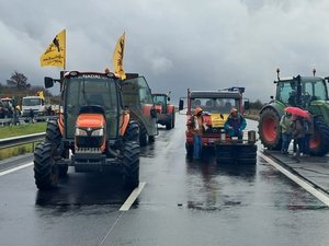 Dermatose nodulaire contagieuse : l'autoroute A75 bloquée à hauteur de Cornus ce samedi, les tracteurs à l'assaut du viaduc de Millau ?