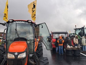 Dermatose nodulaire contagieuse : après un chassé-croisé avec les gendarmes, les agriculteurs ont bloqué l'A75 sur le plateau du Larzac
