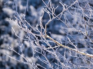 CARTES. Neige modérée voire forte annoncée par Météo-France, en Aveyron : voici où les flocons pourraient tomber durant les prochaines heures