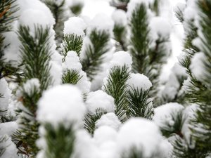 MÉTÉO. Avec l'Hérault en rouge, l'Aveyron reste en vigilance orange pour les crues, voici où il y aura (peut-être) de la neige à Noël
