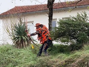 Insolite : des archers pour débusquer des sangliers nichés dans un lotissement de l'Aveyron