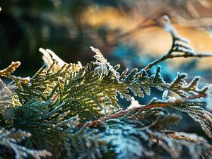 METEO. "Offensive hivernale" et un peu de neige : quelles sont les prévisions jusqu'au soir du Nouvel An ?