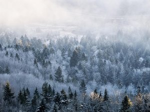 METEO. Vigilance "grand froid" : à quel moment précisément est-elle activée et quels sont les risques pour la santé ?