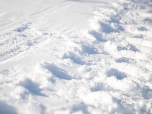 Dermatose nodulaire : les agriculteurs récupèrent des tonnes de neige dans une station de ski pour les déverser devant le siège du Département