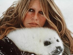 Mort de Brigitte Bardot : de la banquise à l'Aveyron, engagée pour la cause animale