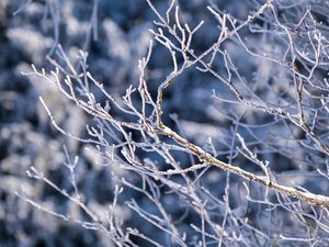 Météo du Nouvel An : le point sur les prévisions, et où la neige à basse altitude sera de retour lors des premiers jours de 2026