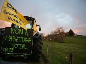 Dermatose nodulaire : les agriculteurs reprennent les blocages sur les routes en direction des stations de ski dans ce département d'Occitanie
