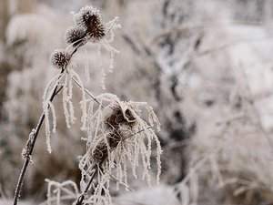 Météo du Nouvel An : ces départements placés en vigilance "grand froid" pour la Saint-Sylvestre