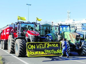 "Le principal problème pour nous, c'est le revenu" : les agriculteurs d'Occitanie parmi les plus pauvres de France