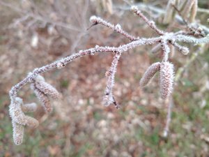 CARTE. Météo : froid glacial, températures négatives, brouillards givrants.... 47 départements en vigilance jaune pour le premier jour de 2026