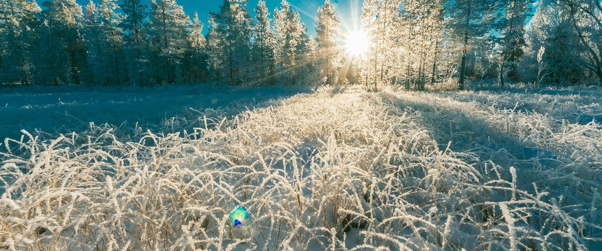 CARTES. Météo : l'Aveyron est entré en vigilance grand froid, c'est parti pour plusieurs jours sans dégel