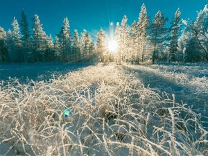 CARTES. Météo : l'Aveyron est entré en vigilance grand froid, c'est parti pour plusieurs jours sans dégel