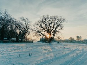 MÉTÉO. Neige et verglas à l'ouest, grand froid à l'est : 86 départements français en vigilance, dont 7 en orange
