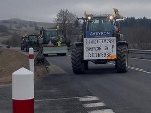VIDÉO. Dermatose nodulaire, Mercosur : une trentaine de tracteurs aveyronnais ont pris la route vers Paris !