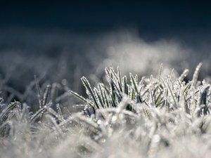 Météo : -14,5°C, -13,7°C, -13,5°C... nouvel assaut du froid ce mercredi matin en Aveyron, voici les secteurs les plus touchés