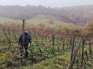 "Le goût du vin local d'il y a 200 ans" : en Aveyron, il redonne vie et bouteille à un cépage "quasi-disparu"