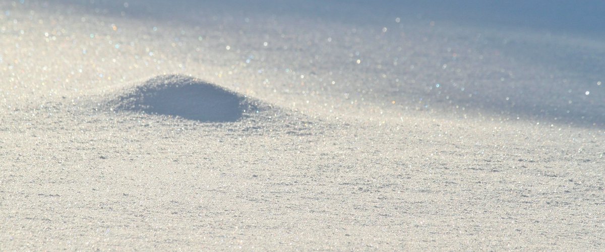 CARTES. Météo : neige attendue sur le Massif central et les Pyrénées, crues, rafales de vent… Douze départements d’Occitanie en vigilance jaune ce vendredi 9 janvier