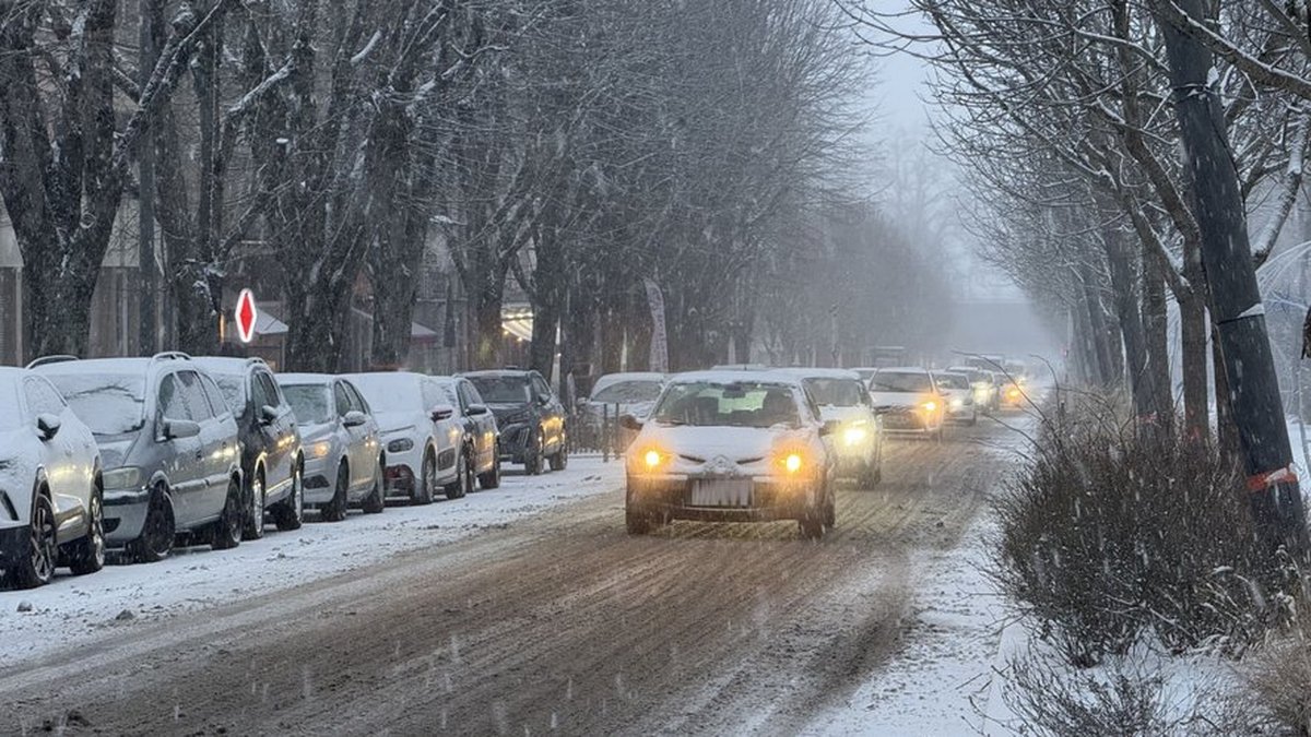 CARTES. Météo : double vigilance jaune activée en Aveyron face à la neige et au risque de crues, voici les prévisions dans le département