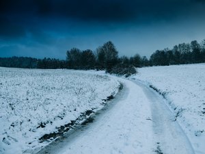 CARTES. Météo : jusqu'à 40 cm de neige, restrictions de circulation... Six départements en vigilance orange ce samedi 10 janvier