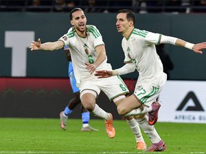 Coupe d'Afrique des nations : Algérie-Nigeria, Égypte-Côte d'Ivoire... où et quand suivre les deux derniers quarts, ce samedi ?