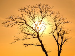 CARTES. Météo : un doux flux venu du Sud apporte un soleil voilé sur l'Occitanie, sauf autour des Cévennes avec nuages et pluie
