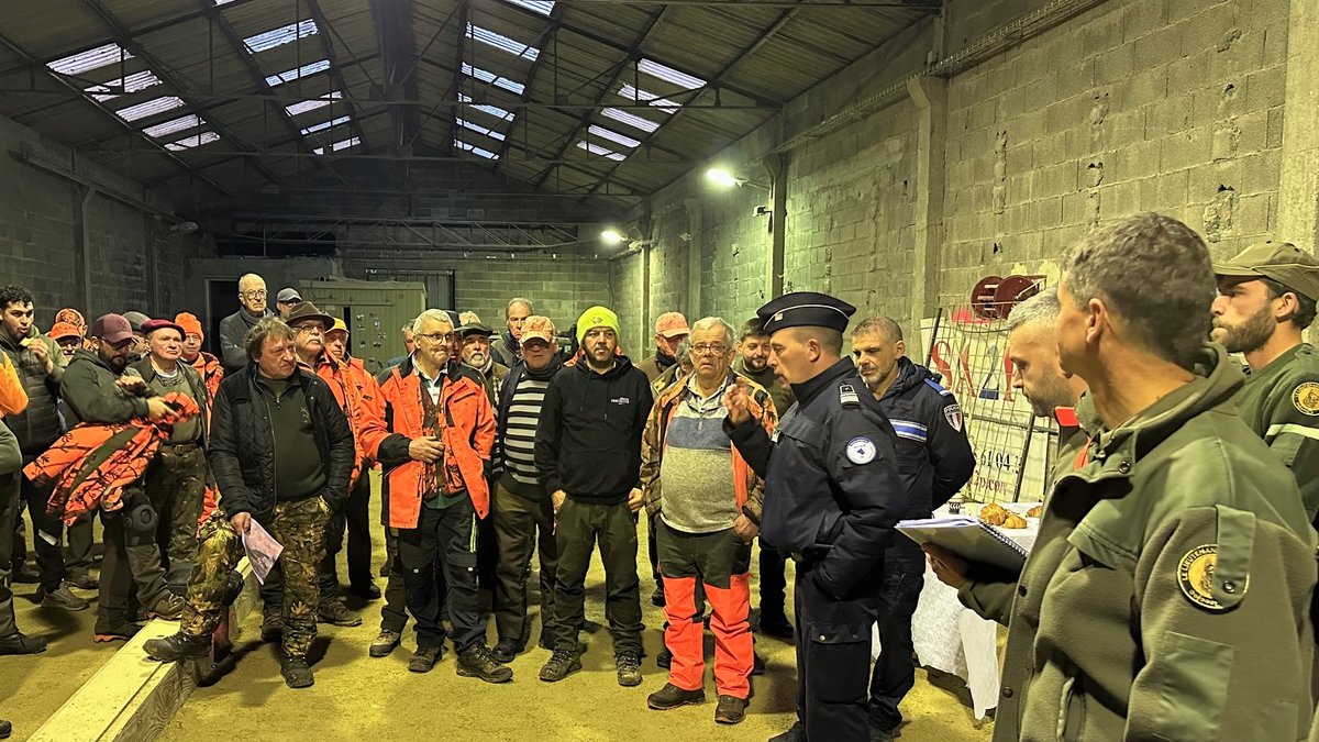 Ils sont près de Rodez, Villefranche-de-Rouergue, Druelle, Saint-Affrique ou Decazeville : quand les sangliers élisent domicile dans les villes de l’Aveyron