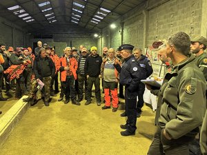 Ils sont près de Rodez, Villefranche-de-Rouergue, Druelle, Saint-Affrique ou Decazeville : quand les sangliers élisent domicile dans les villes de l'Aveyron