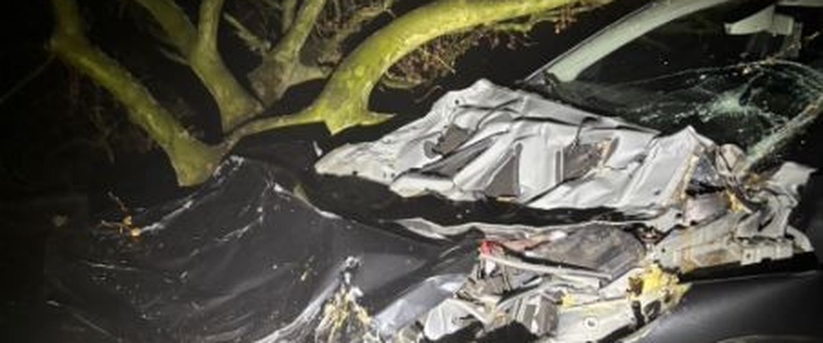 Des arbres tronçonnés et mis en travers de la route provoquent deux accidents graves : les responsables sont activement recherchés