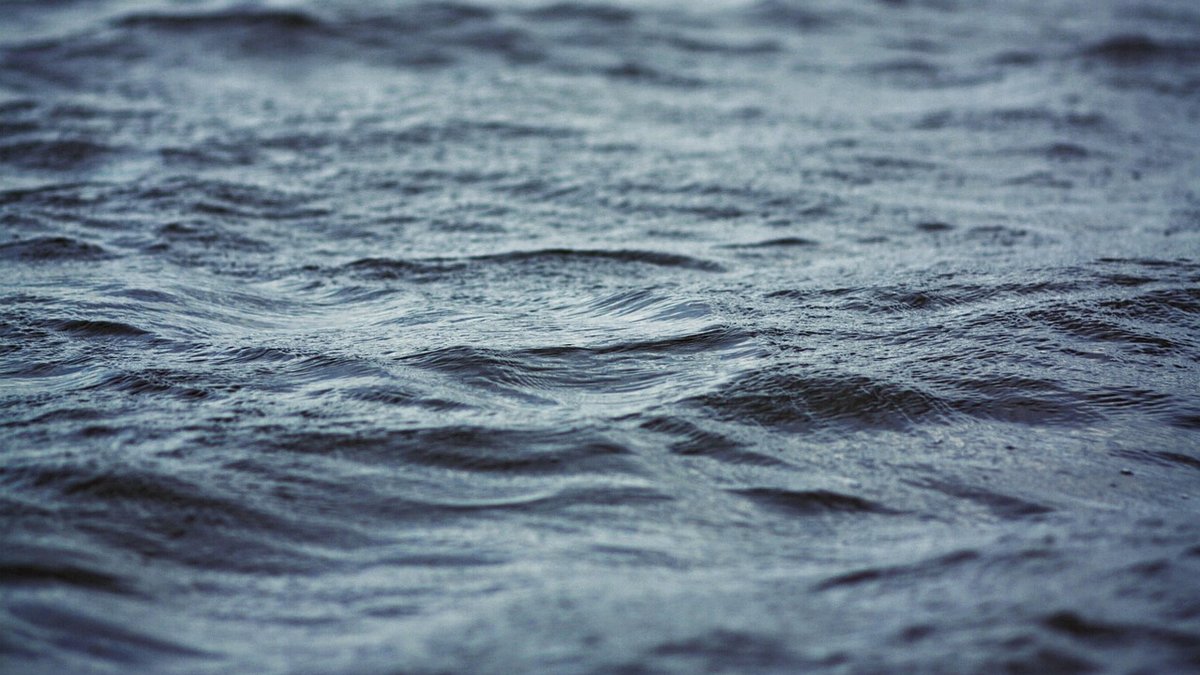 Un garagiste saute à l’eau pour sauver une femme de la noyade : la victime le remercie… et lui fait une belle promesse !