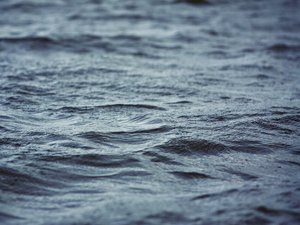 Un garagiste saute à l'eau pour sauver une femme de la noyade : la victime le remercie... et lui fait une belle promesse !