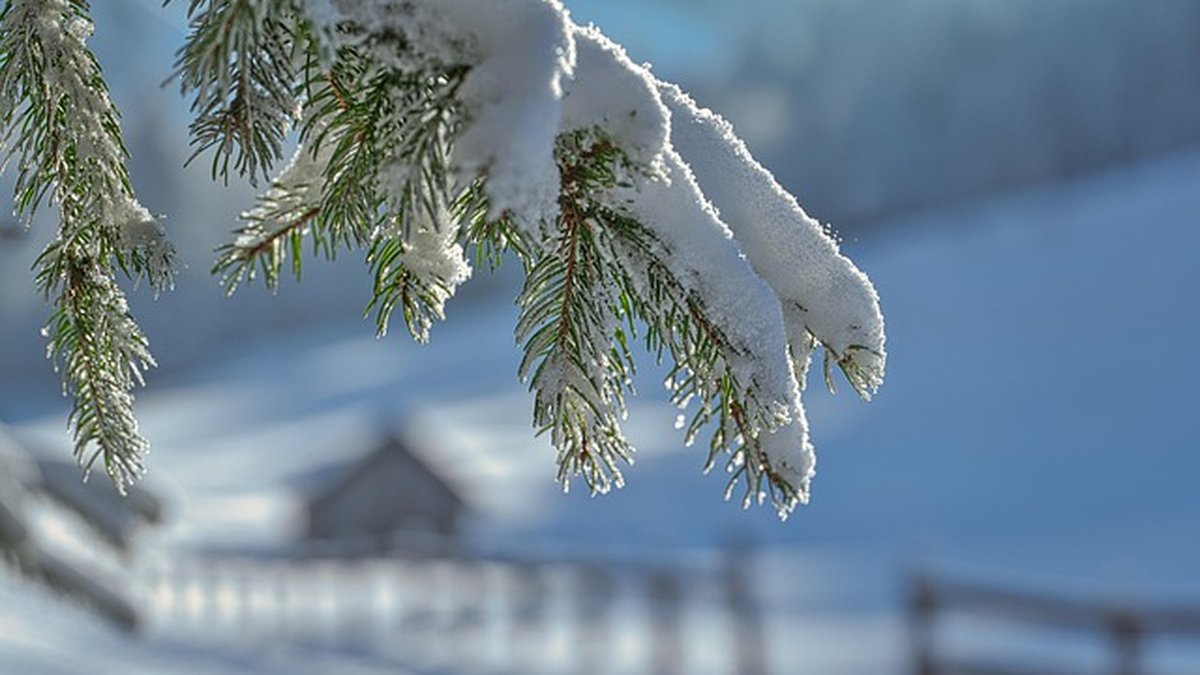 Retour des chutes de neige en plaine : trois départements déjà en vigilance jeudi, voici où les flocons vont tomber d’ici ce week-end