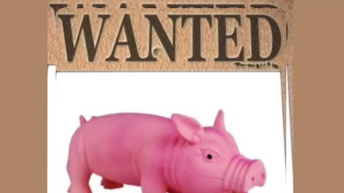 CLIN D’ŒIL. "Il m’apaisait" : qui a volé Grui-Grui, le cochon mascotte de ce café historique de Rodez ?