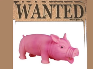 CLIN D'RIL. "Il m'apaisait" : qui a volé Grui-Grui, le cochon mascotte de ce café historique de Rodez ?